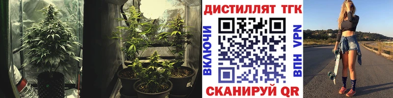 ТГК Wax  Зеленогорск 