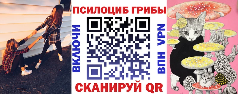 Галлюциногенные грибы прущие грибы  Зеленогорск 