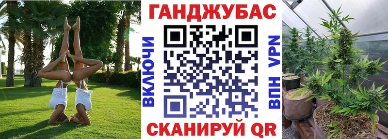 Каннабис сатива  дарнет шоп  Зеленогорск 